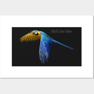 Blue Flying Parrot Bird Posters and Art